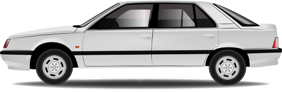 renault 25